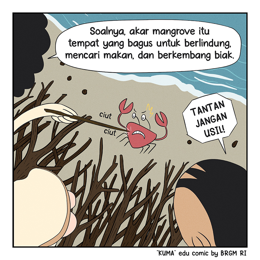 Image 1 - 19